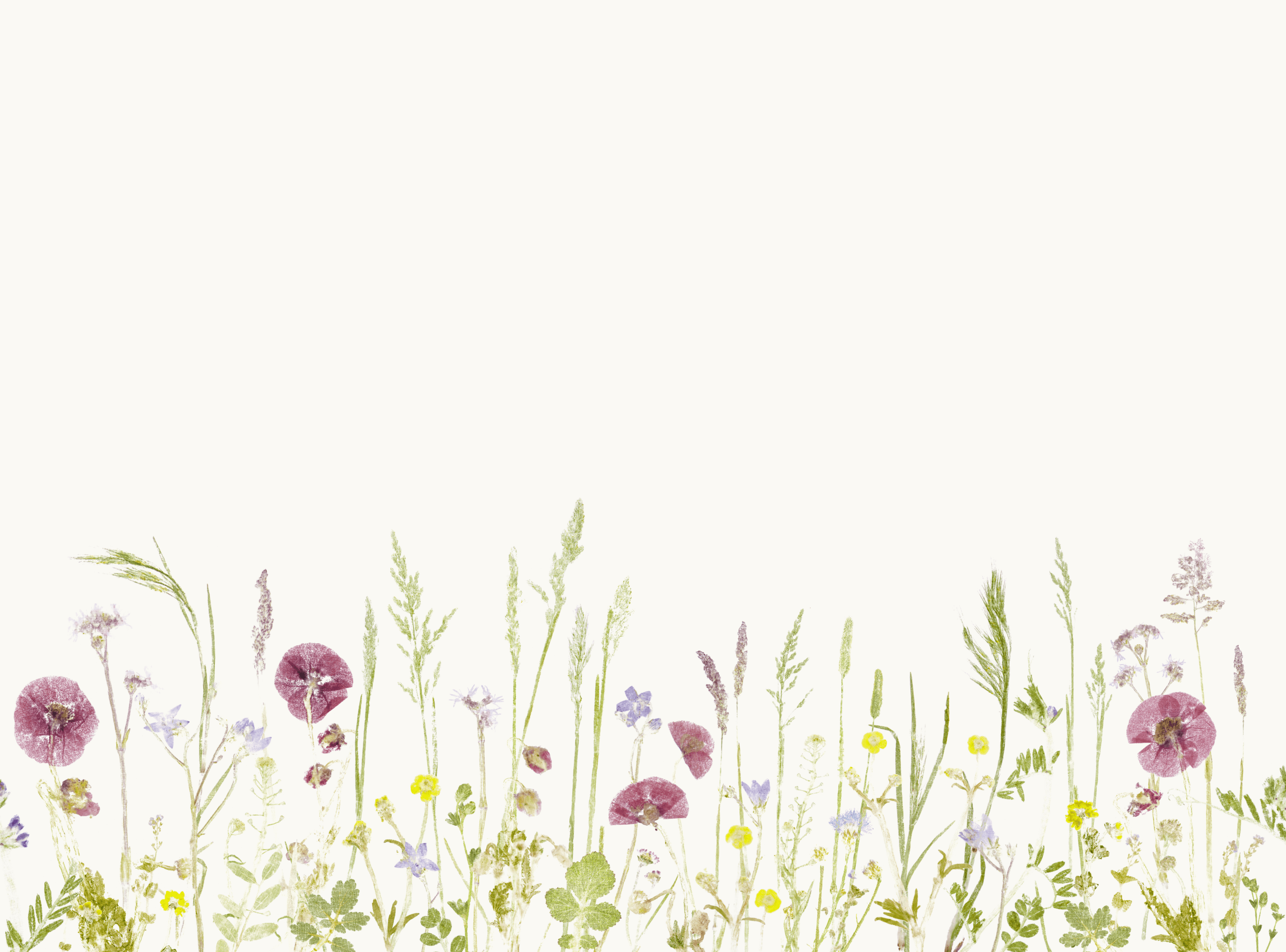 Bavlněný ubrus Bohatá louka