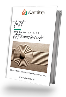 test_rueda_de_la_vida