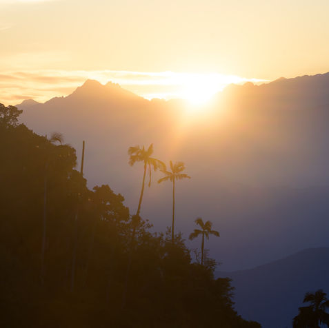 colombia, la camara explora