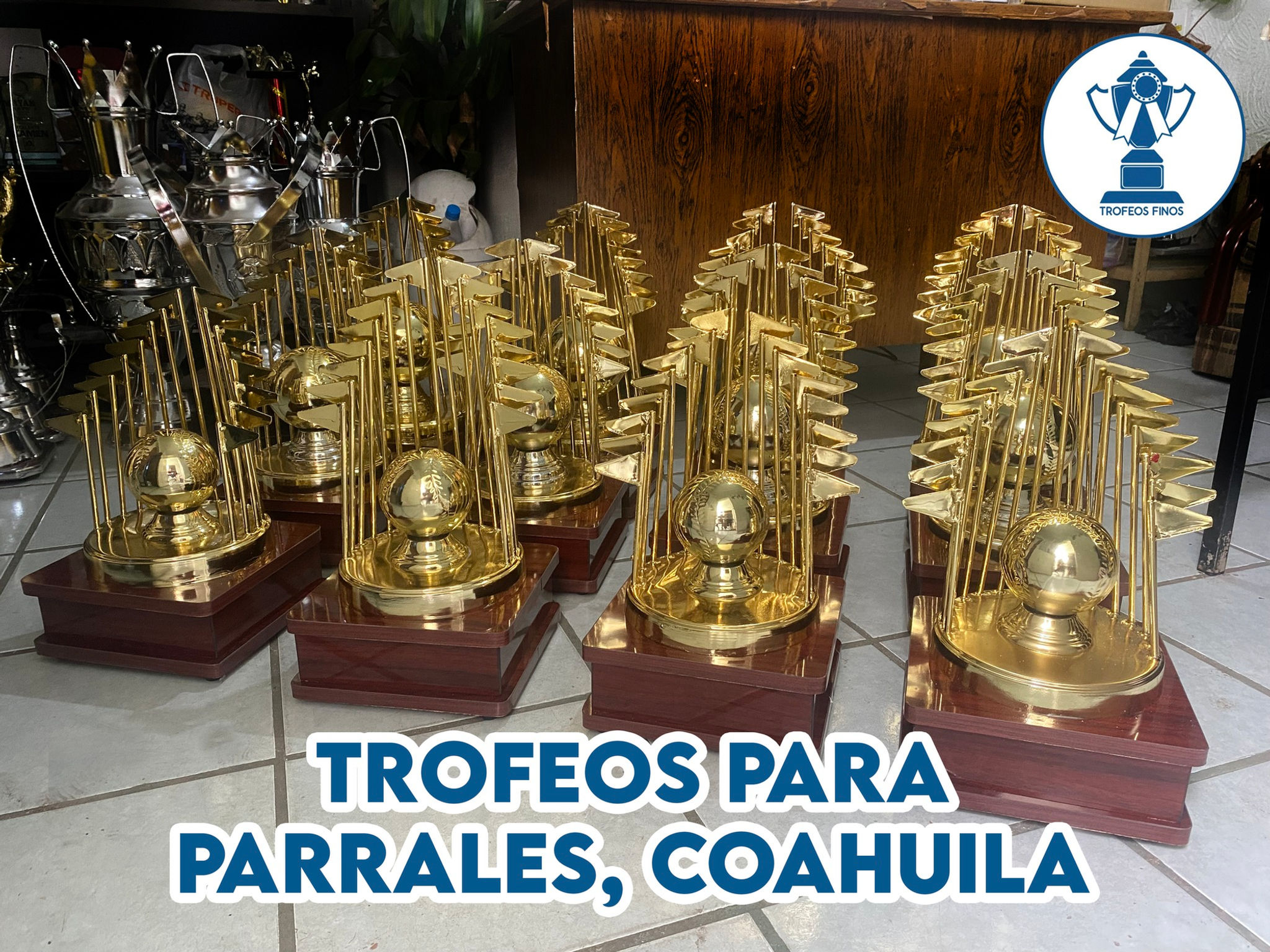 Balón Serie Mundial