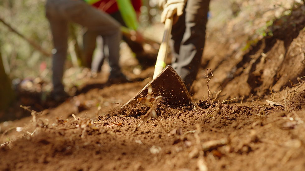 Screen Shot 2022-03-20 at 1.56.20 PM.png