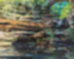 Thumbnail: Departure From The Norm [ORIGINAL]