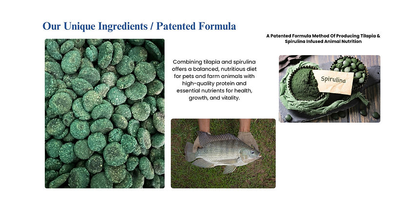 alternate protein solution globally pet food animal nutrition innovation veterinary