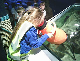 DSCF0008.JPG