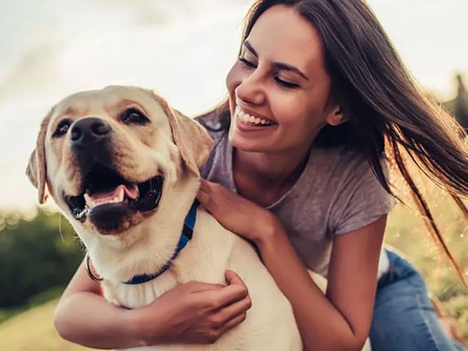 National Pet Day 2022: The 16 Best Deals on Products for Dogs, Cats, Birds, Horses & More