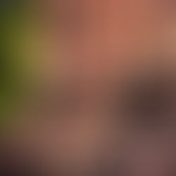 Die 3 Säulen der Gesundheit nach Ayurveda