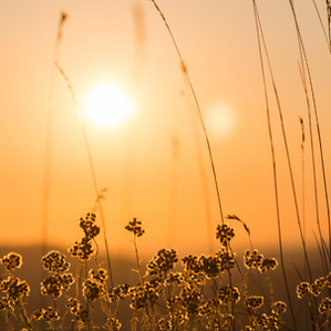 Wovon willst Du mehr in Deinem Leben? Unsere B&B-Wunschliste für das 4. Quartal 2024