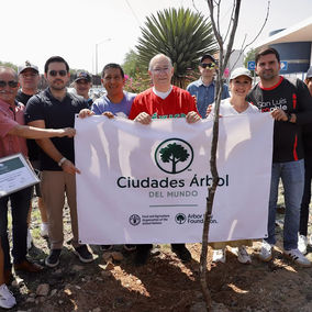 San Luis Capital obtiene por cuarto año consecutivo el reconocimiento Ciudad Árbol del Mundo