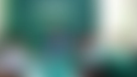 ESTADO FORMA A LOS MUNICIPIOS EN RESPETO A LA CULTURA INDÍGENA