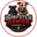logo.PNG