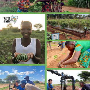 Agricultural Project Cost Breakdown