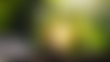 Our Current Finances are ‘Unsustainable’:  What does that mean? (Vol.181)