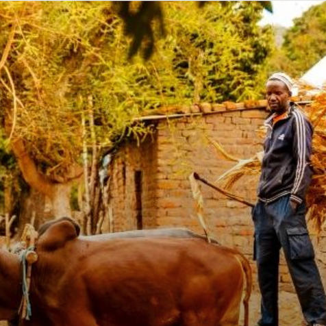 The Tanzania Times - US Organization Pumps Fresh Water Into Central Tanzania