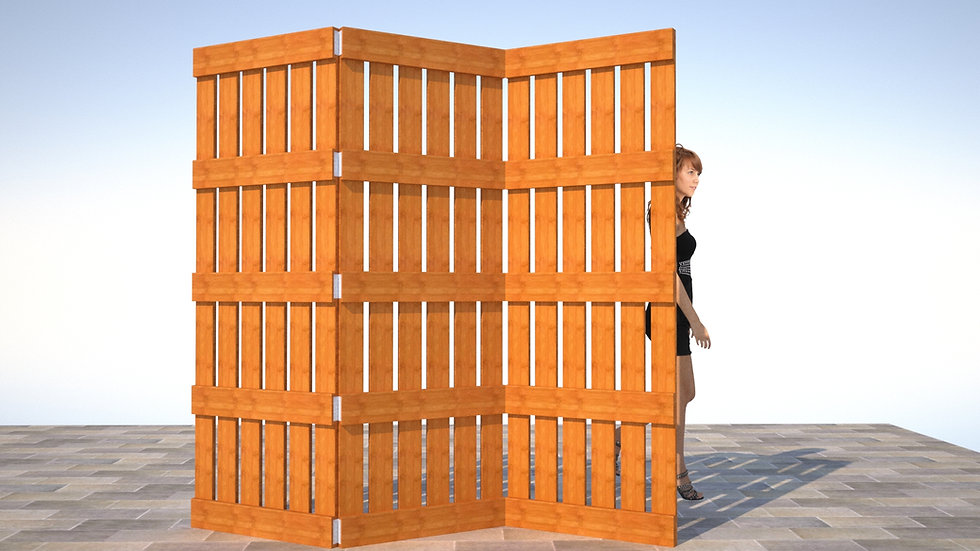 Mid size Shoji Screens everdesignworks