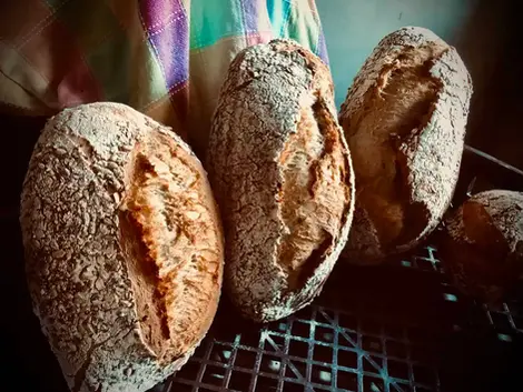 Plusieurs pains rustiques faits maison posés sur une grille avec un torchon coloré.