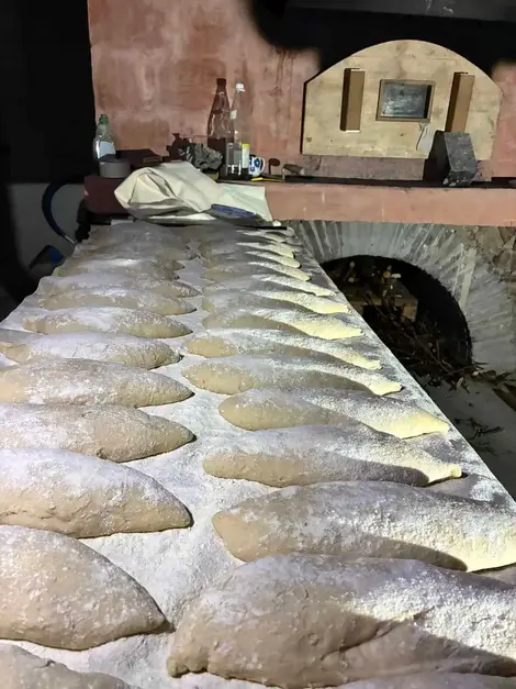 Nombreuses miches de pâte à pain farinées alignées devant un four traditionnel.
