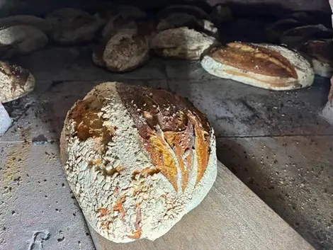Pain rustique fraîchement cuit dans un four à bois chaud.