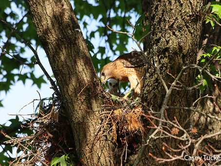 The Struggle is Real