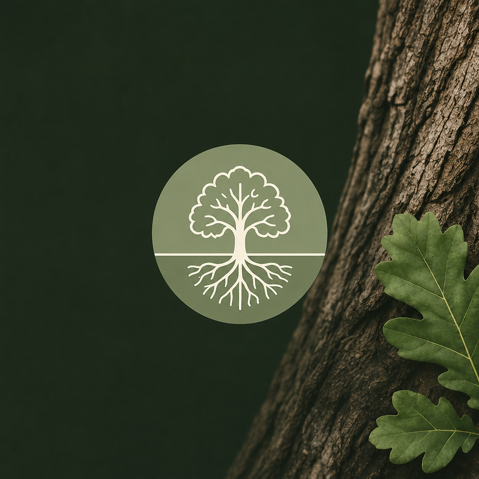 Strong Foundations Value - Grounded in consistency and values driven support