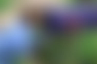 Where Do You Get Your News?