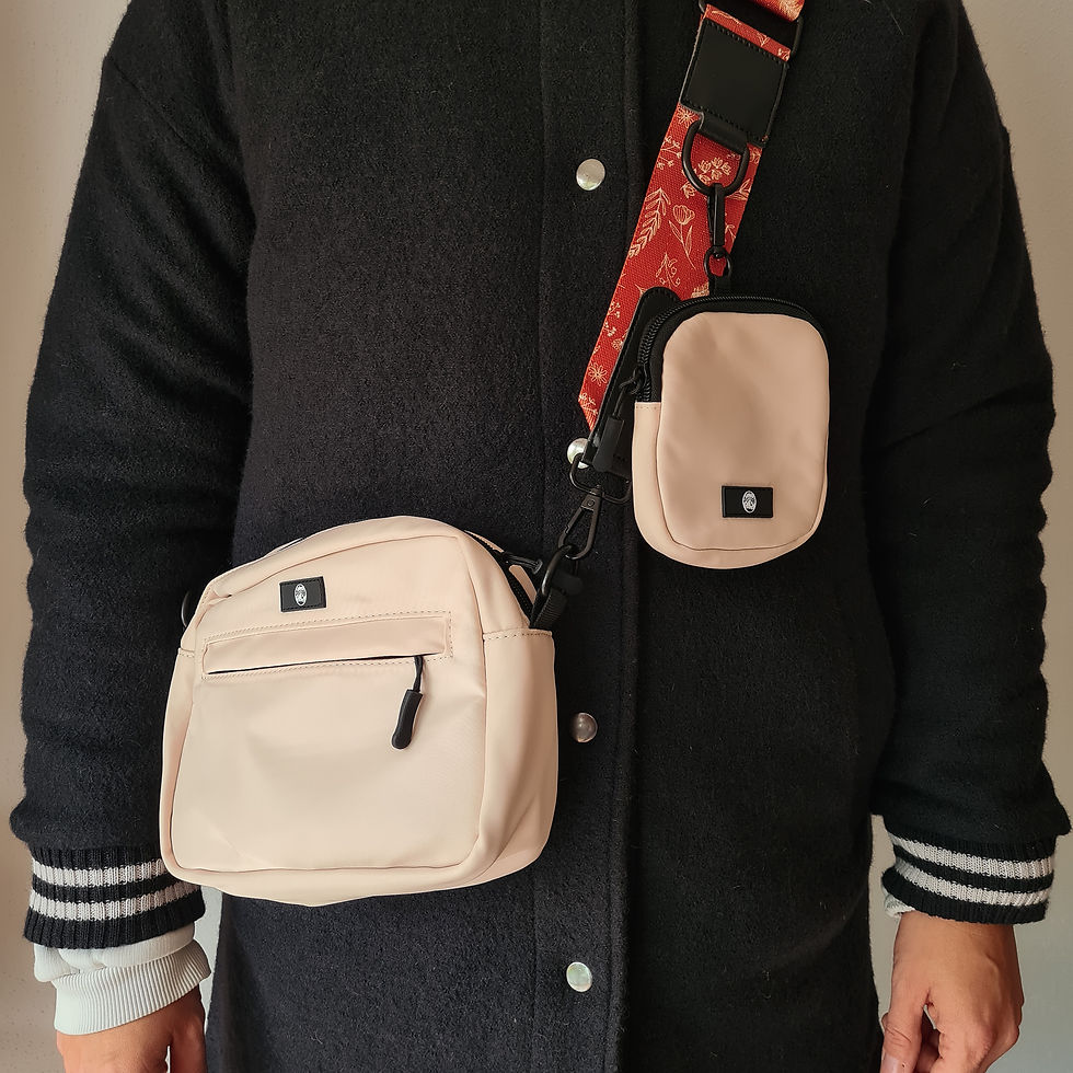 Miniaturbild: Gassitasche Pumpkin Spice groß Leckerli Beutel für Hunde vegan beige walking bag