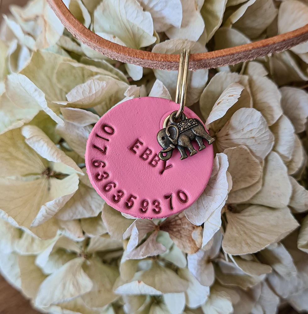 Miniaturbild: Ledermarke Lost and found