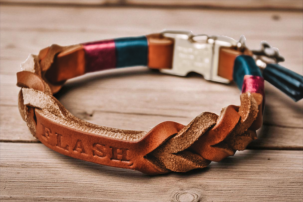 Miniaturbild: Halsband Tulip