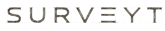 New Surveyt logo.png