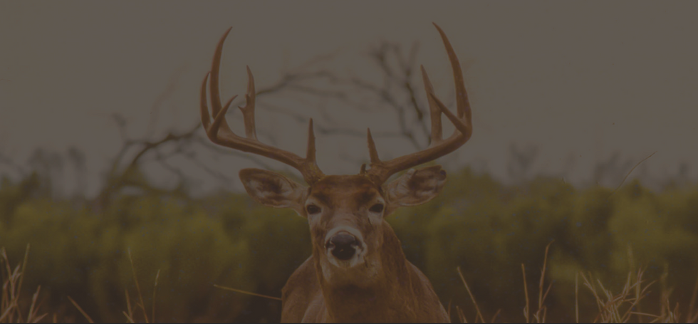 Screen Shot 2023-02-14 at 1.51.43 PM.png