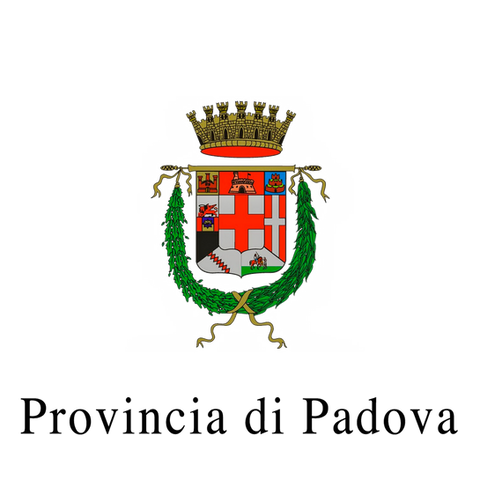 Provincia di Padova - Logo - Black .png