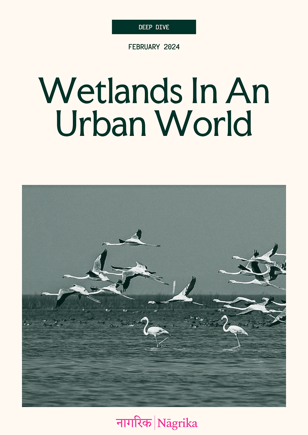 08_Wetlands In An Urban World.png