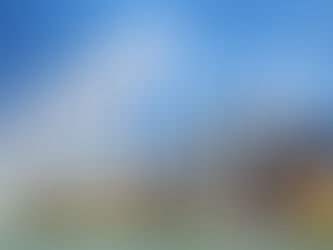 纽约购房养房攻略(二)