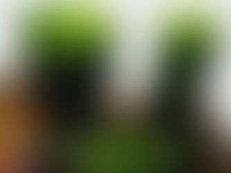 O vidro no meio Ambiente