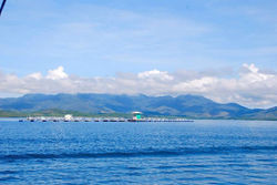 Puerto Prinsesa - 2.jpg