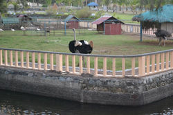 Fort Ilocandia8.jpg