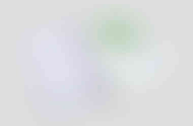 Vorder- und Rückseite A4 Faltblatt zur Infografik Fifty Shades of Market Intelligence für CEDURA