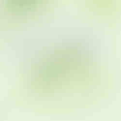 Ausschnitt Chat Data. Aus der Infografik Fifty Shades of Market Intelligence für CEDURA.