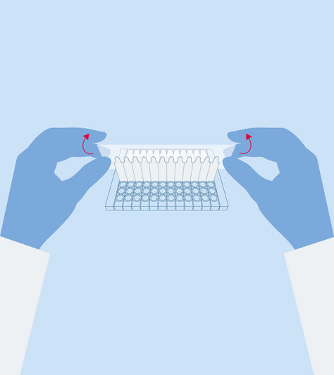 Illustration Bedienungsanleitung im QIAGEN Corporate Design.