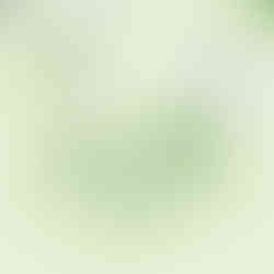 Ausschnitt Swarm Intelligence: Aus der Infografik Fifty Shades of Market Intelligence für CEDURA.