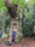 IMG_1853.jpeg