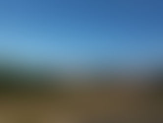 Concejo acuerda mantención de dos futuros proyectos “verdes” destinados a población Los Lagos