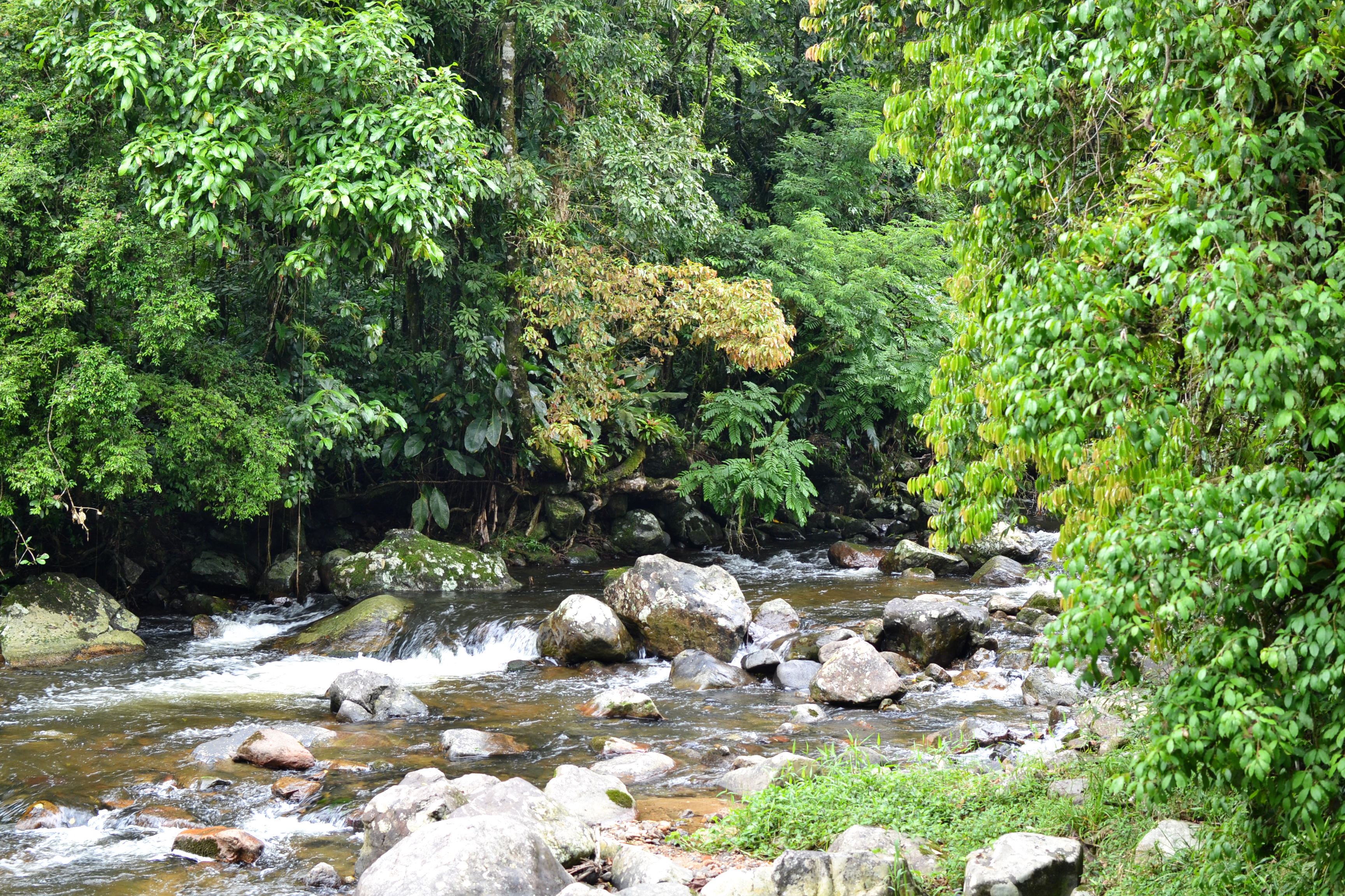 Vale do Ouro - Cachoeiras do Piraí