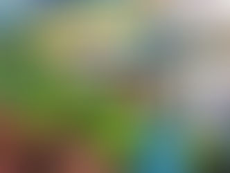 Sabores do Mercado realiza nova edição repleta de música, gastronomia e fotografia