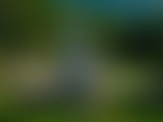 Mais de 440 mil pessoas visitaram o Parque do Cristo em 2023