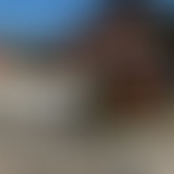 Poços de Caldas põe fim aos passeios turísticos em charretes puxadas por cavalos