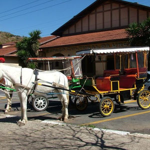 Poços de Caldas põe fim aos passeios turísticos em charretes puxadas por cavalos