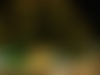 Poços de Caldas celebra 153 anos com o acendimento das luzes do Natal Poços de Luz 2025 nesta sexta