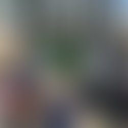 Walking Tour dos Monumentos de Joinville