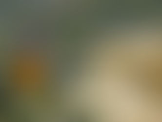 IFSULDEMINAS recebe exposição ‘Natureza Urbana’ do fotógrafo Victor Imesi