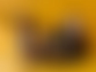 'Uma Tarde Fora do Padrão' acontece neste domingo